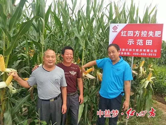 山東青州的田間，施用紅四方玉米控失肥的農民喜獲豐收
