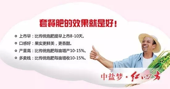 施用套餐肥，蘋果增產(chǎn)更有保障。