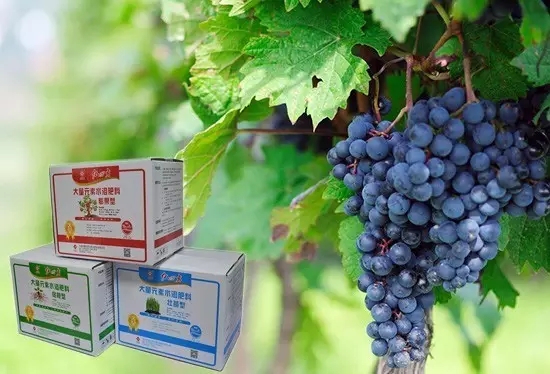 推薦配方：紅四方大量元素水溶肥系列之壯根促苗型、旺苗促花型、壯果膨果型、果實(shí)上色型、養(yǎng)地型。